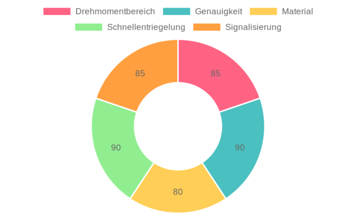 VIGRUE Drehmomentschlüssel Set im Test: Präzision für Fahrrad und Motorrad